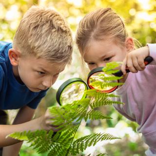 Olympiáda z biológie - Školské kolo
